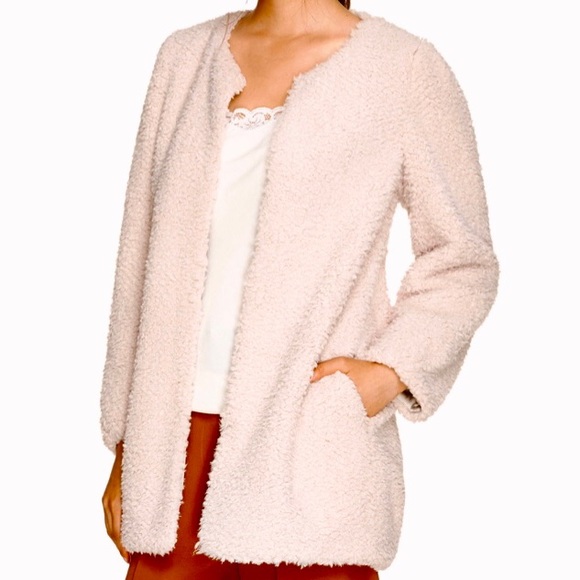 Aritzia Wilfred Laboratoire Teddy Jacket
